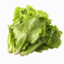 100 Pcs Lettuce Seeds Good Taste Easy To Grow Great Salad Dhoice DIY Home Garden Seeds Vegetables Rich Vitamins Chinese Leaves