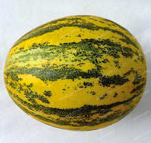 50PCS Japan Fruit Cantaloupe Melon Seeds Original Superior Honey Dew Green Flesh Great Vegetable Seeds~Delicious Muskmelon Seeds