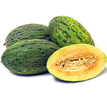 50PCS Japan Fruit Cantaloupe Melon Seeds Original Superior Honey Dew Green Flesh Great Vegetable Seeds~Delicious Muskmelon Seeds