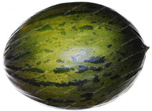 50PCS Japan Fruit Cantaloupe Melon Seeds Original Superior Honey Dew Green Flesh Great Vegetable Seeds~Delicious Muskmelon Seeds