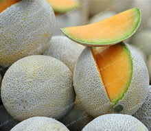 50PCS Japan Fruit Cantaloupe Melon Seeds Original Superior Honey Dew Green Flesh Great Vegetable Seeds~Delicious Muskmelon Seeds