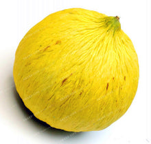 50PCS Japan Fruit Cantaloupe Melon Seeds Original Superior Honey Dew Green Flesh Great Vegetable Seeds~Delicious Muskmelon Seeds