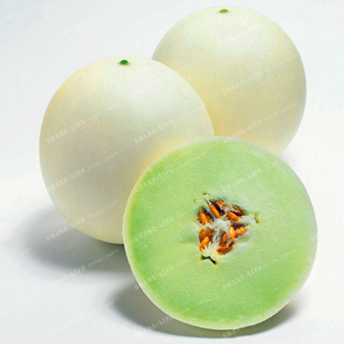 50PCS Japan Fruit Cantaloupe Melon Seeds Original Superior Honey Dew Green Flesh Great Vegetable Seeds~Delicious Muskmelon Seeds