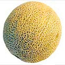 50PCS Japan Fruit Cantaloupe Melon Seeds Original Superior Honey Dew Green Flesh Great Vegetable Seeds~Delicious Muskmelon Seeds